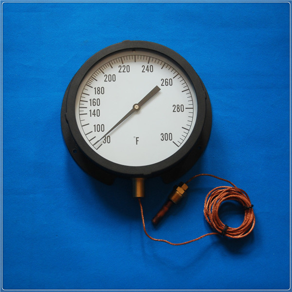 8.5＂ back flange thermometer